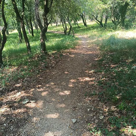 公寓 Sole E Mare New 波雷奇