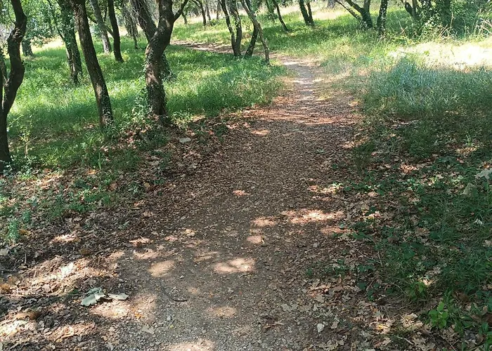 Apartman Sole E Mare New Poreč